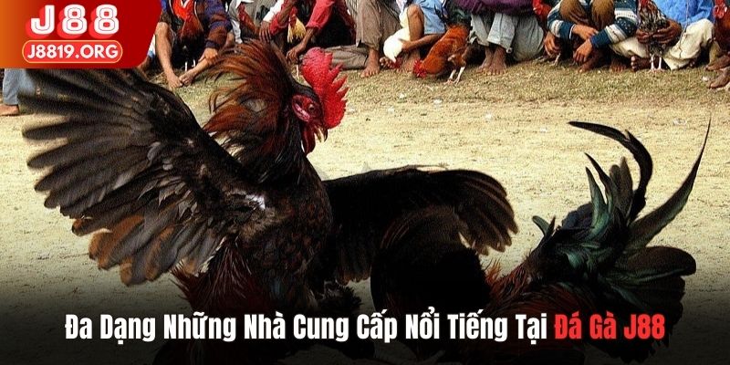 Đa dạng những nhà cung cấp nổi tiếng tại đá gà J88