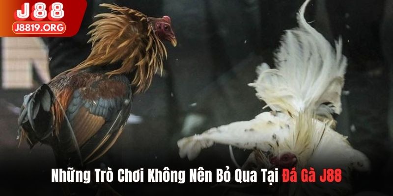 Những trò chơi không nên bỏ qua tại đá gà J88